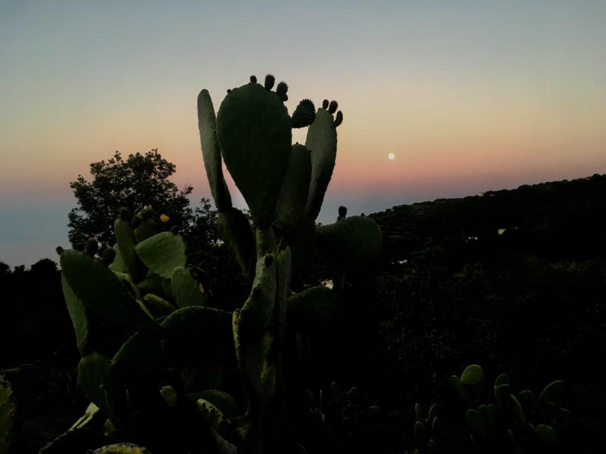 Casa Lomo Cabo Lejlighed Puntallana Eksteriør billede